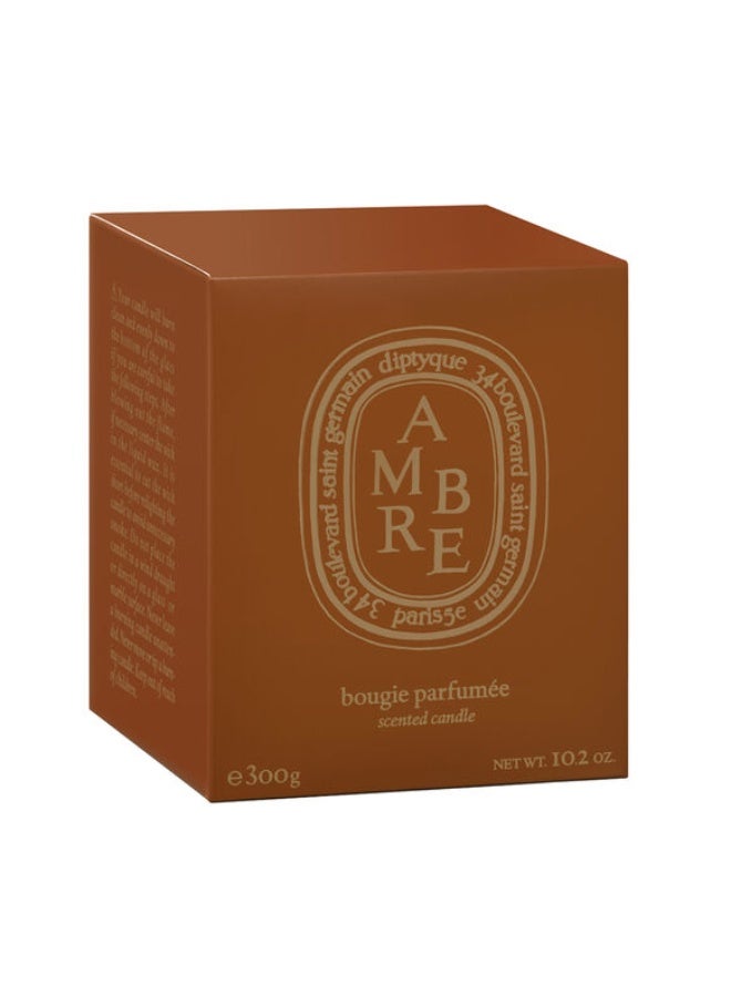 Diptyque Ambre Coloured Candle  300G - Image 2